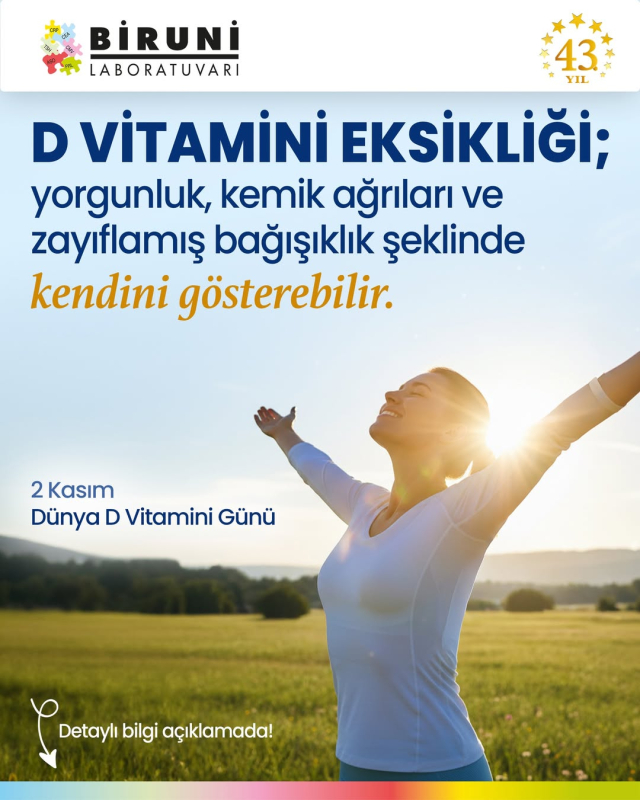 D vitamininin bağışıklık sistemi, kas ve kemik sağlığı üzerindeki etkilerini gösteren bilgilendirici görsel