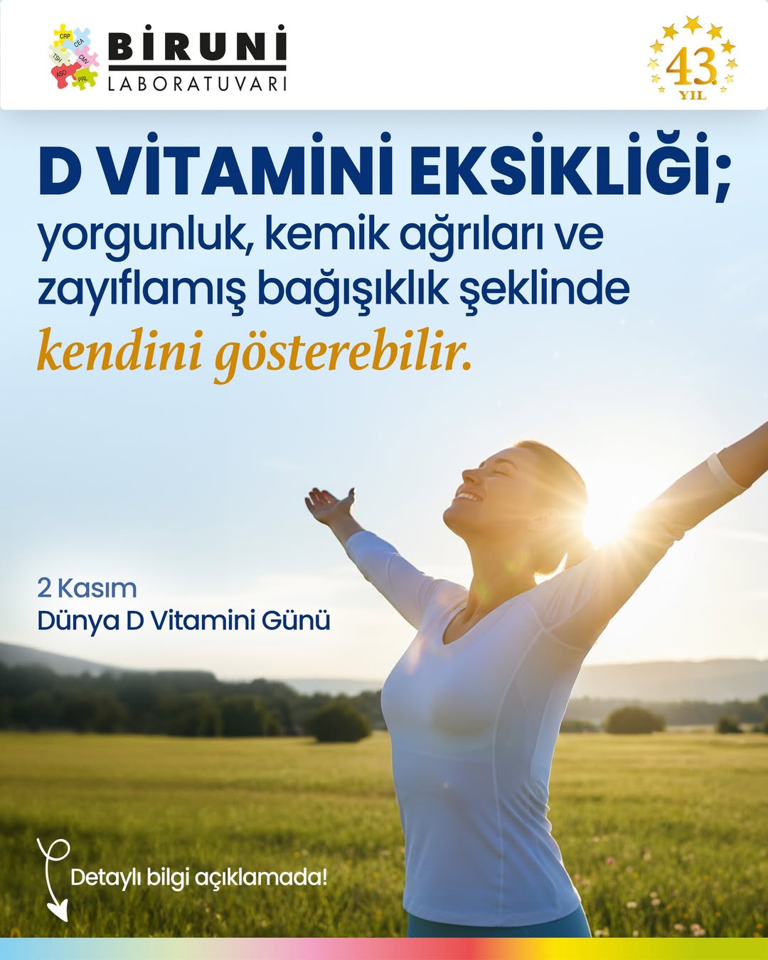 D vitamininin bağışıklık sistemi, kas ve kemik sağlığı üzerindeki etkilerini gösteren bilgilendirici görsel
