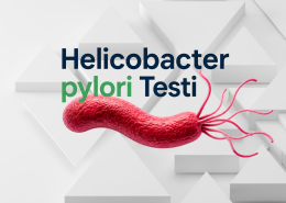 Helicobacter pylori testi ile mide enfeksiyonu tespiti