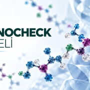 Hormon Metabolizma Paneli – Hormon metabolizması ve vücuttaki hormonal sistemleri temsil eden bilimsel görsel