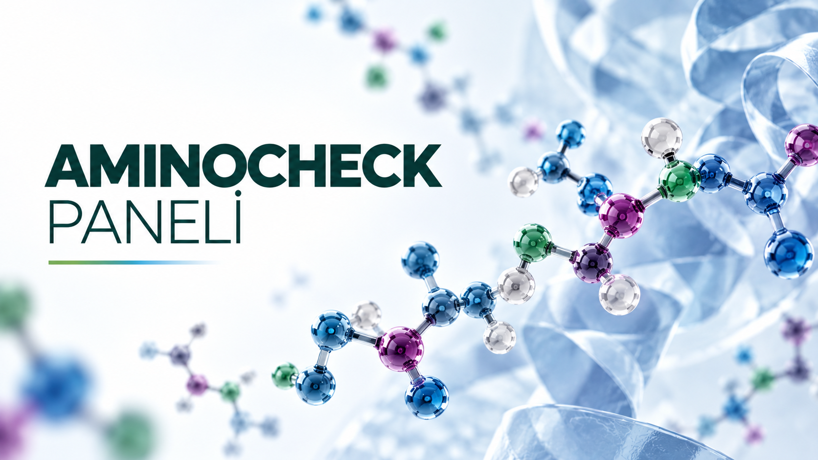 Hormon Metabolizma Paneli – Hormon metabolizması ve vücuttaki hormonal sistemleri temsil eden bilimsel görsel